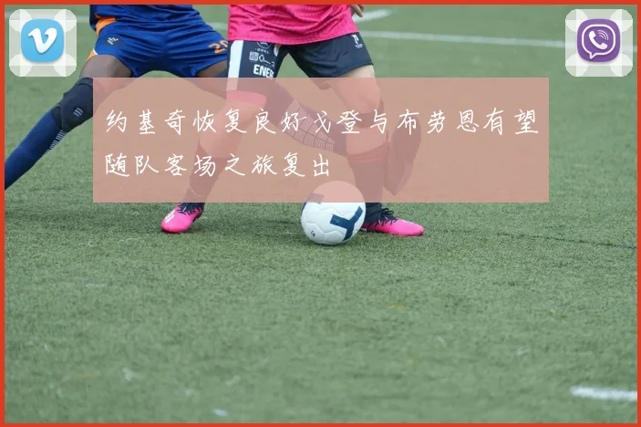 约基奇恢复良好戈登与布劳恩有望随队客场之旅复出