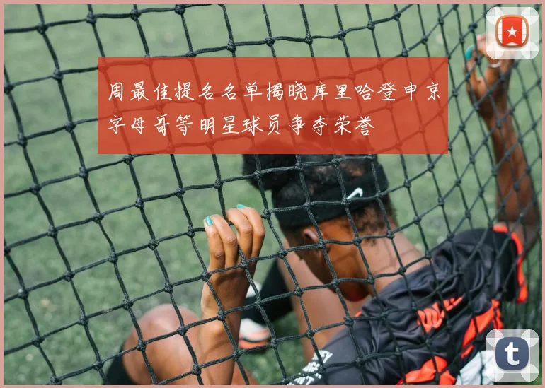 周最佳提名名单揭晓库里哈登申京字母哥等明星球员争夺荣誉